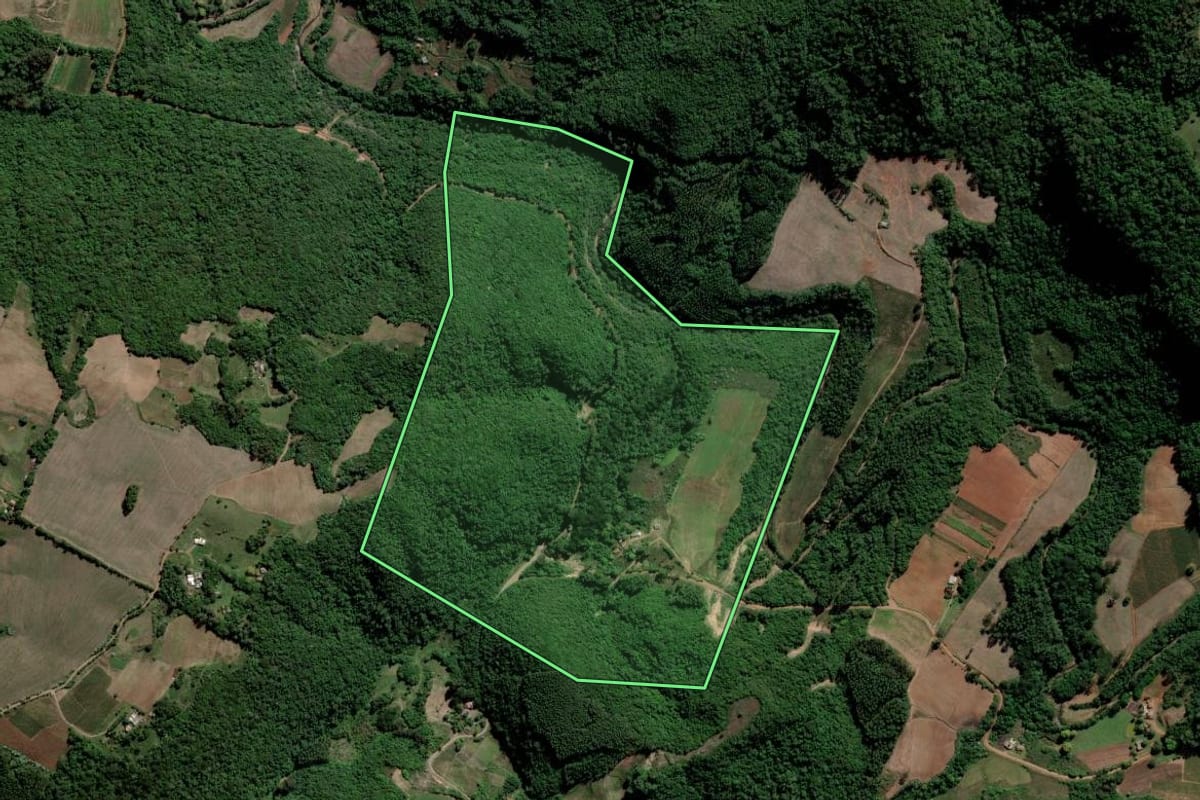 Imagem de satélite do imóvel rural em Lagoa Bonita do Sul (RS), com o contorno declarado no CAR desenhado por cima.