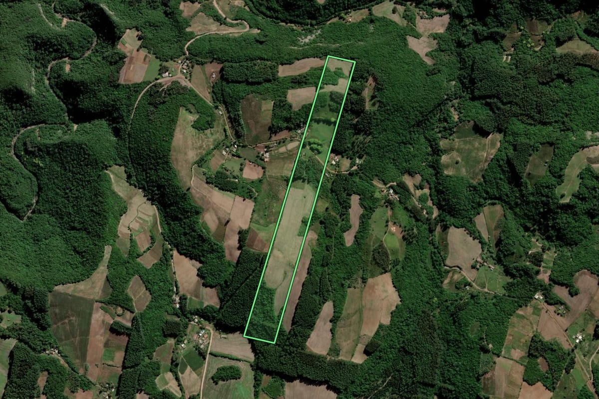 Imagem de satélite do imóvel rural em Lagoa Bonita do Sul (RS), com o contorno declarado no CAR desenhado por cima.