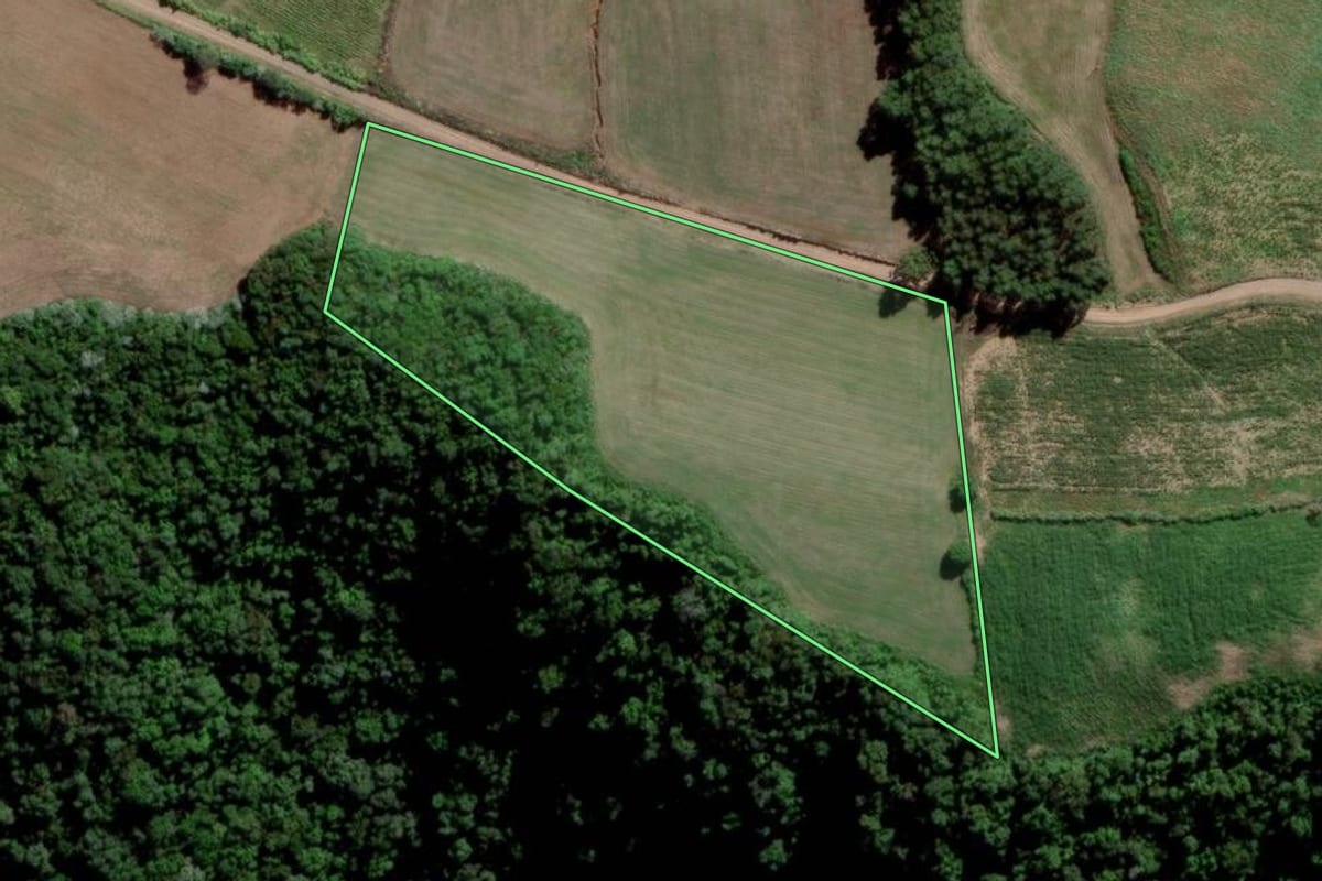 Imagem de satélite do imóvel rural em Lagoa Bonita do Sul (RS), com o contorno declarado no CAR desenhado por cima.