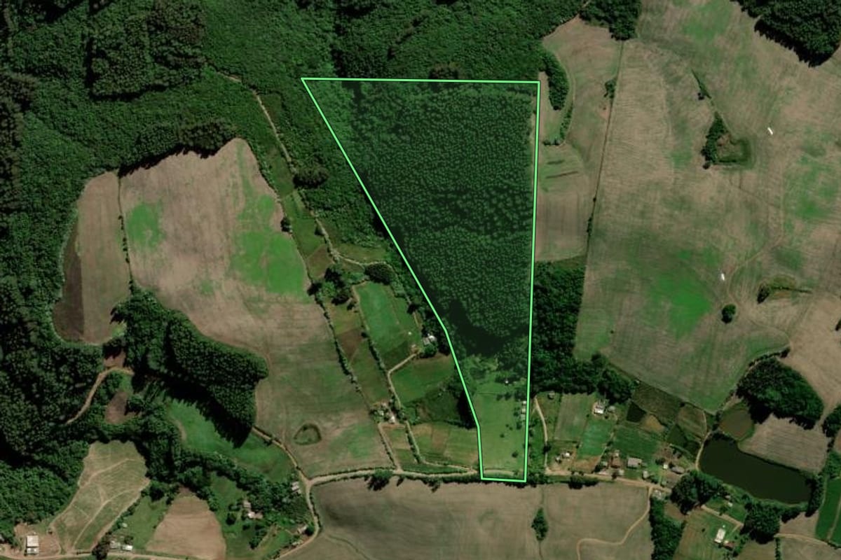 Imagem de satélite do imóvel rural em Lagoa Bonita do Sul (RS), com o contorno declarado no CAR desenhado por cima.