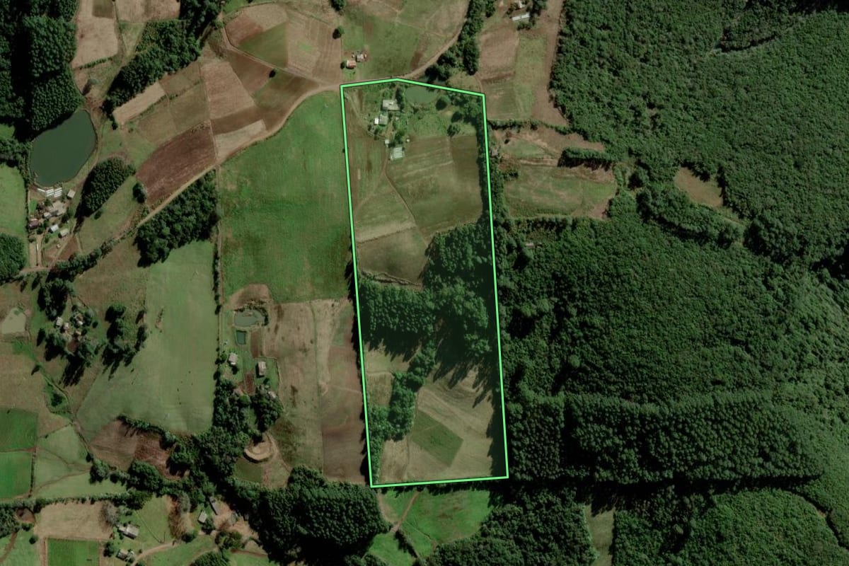 Imagem de satélite do imóvel rural em Lagoa Bonita do Sul (RS), com o contorno declarado no CAR desenhado por cima.