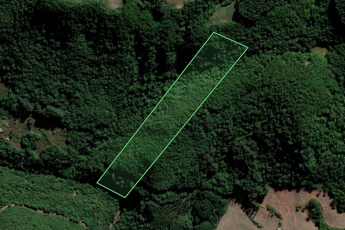 Imagem de satélite do imóvel rural em Lagoa Bonita do Sul (RS), com o contorno declarado no CAR desenhado por cima.