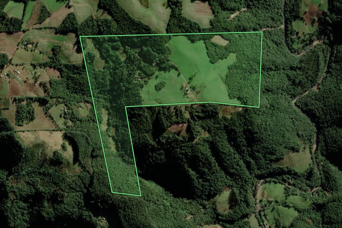 Imagem de satélite do imóvel rural em Lagoa Bonita do Sul (RS), com o contorno declarado no CAR desenhado por cima.