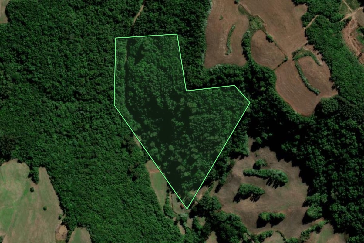 Imagem de satélite do imóvel rural em Lagoa Bonita do Sul (RS), com o contorno declarado no CAR desenhado por cima.
