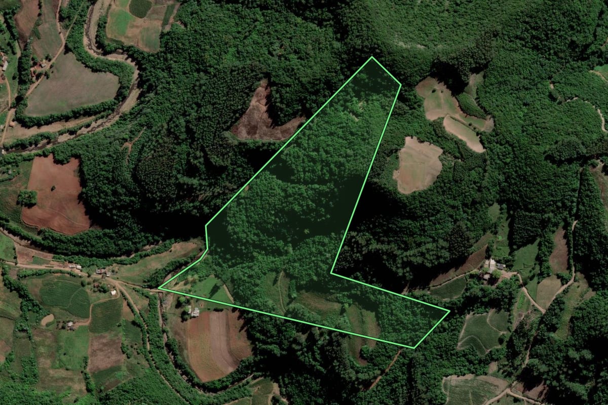 Imagem de satélite do imóvel rural em Lagoa Bonita do Sul (RS), com o contorno declarado no CAR desenhado por cima.
