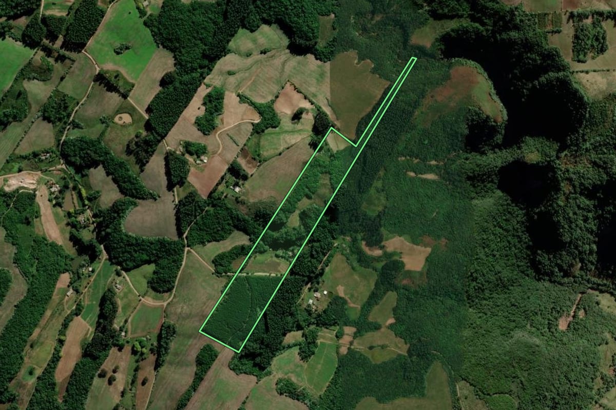 Imagem de satélite do imóvel rural em Lagoa Bonita do Sul (RS), com o contorno declarado no CAR desenhado por cima.