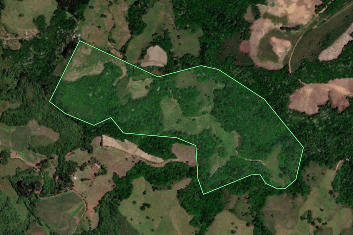 Imagem de satélite do imóvel rural em Lagoão (RS), com o contorno declarado no CAR desenhado por cima.