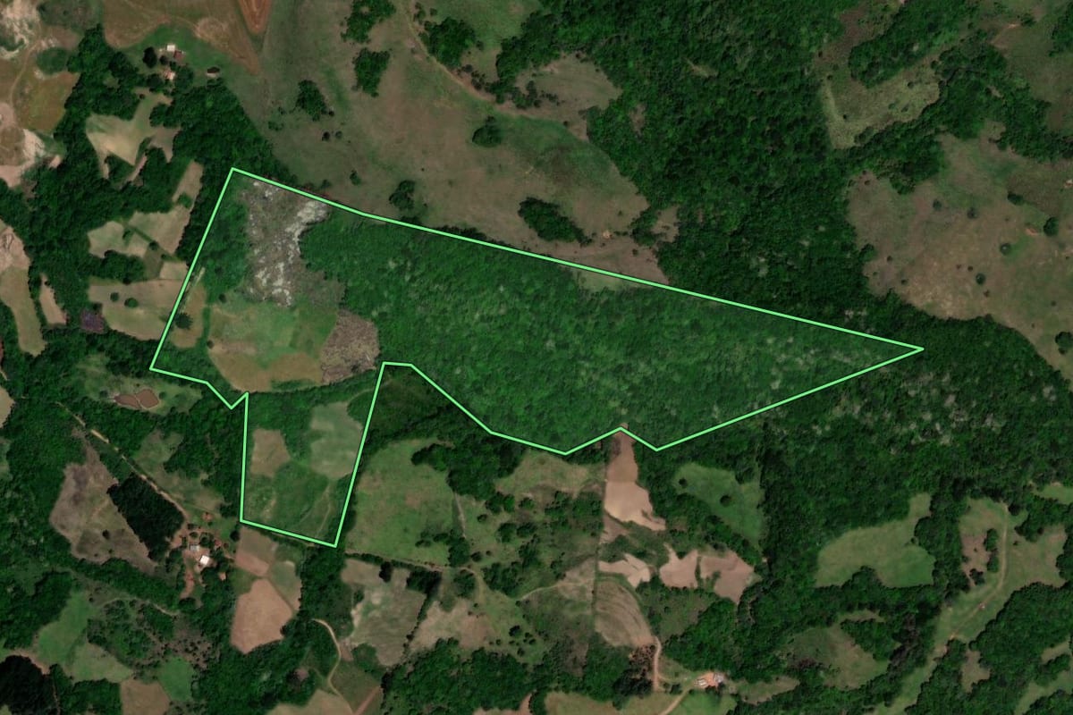 Imagem de satélite do imóvel rural em Lagoão (RS), com o contorno declarado no CAR desenhado por cima.