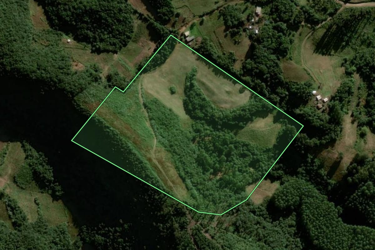 Imagem de satélite do imóvel rural em Lagoão (RS), com o contorno declarado no CAR desenhado por cima.