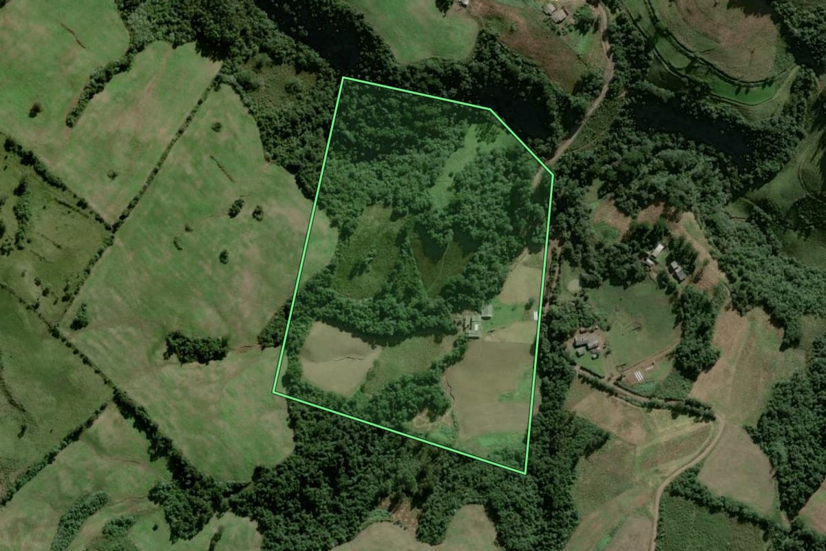 Imagem de satélite do imóvel rural em Lagoão (RS), com o contorno declarado no CAR desenhado por cima.