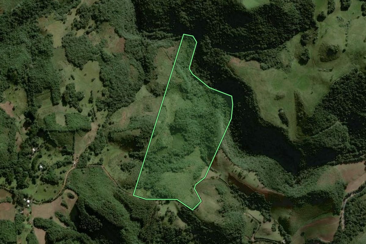 Imagem de satélite do imóvel rural em Lagoão (RS), com o contorno declarado no CAR desenhado por cima.