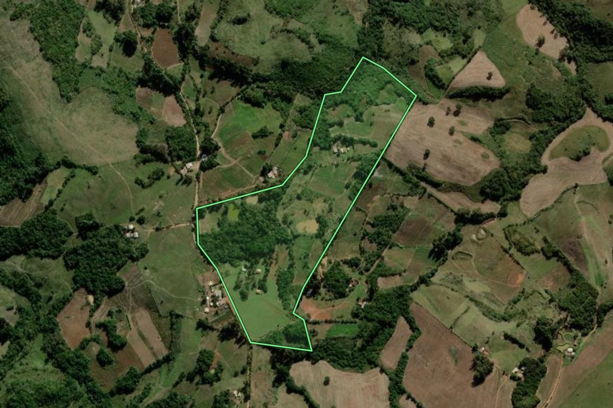 Imagem de satélite do imóvel rural em Lagoão (RS), com o contorno declarado no CAR desenhado por cima.