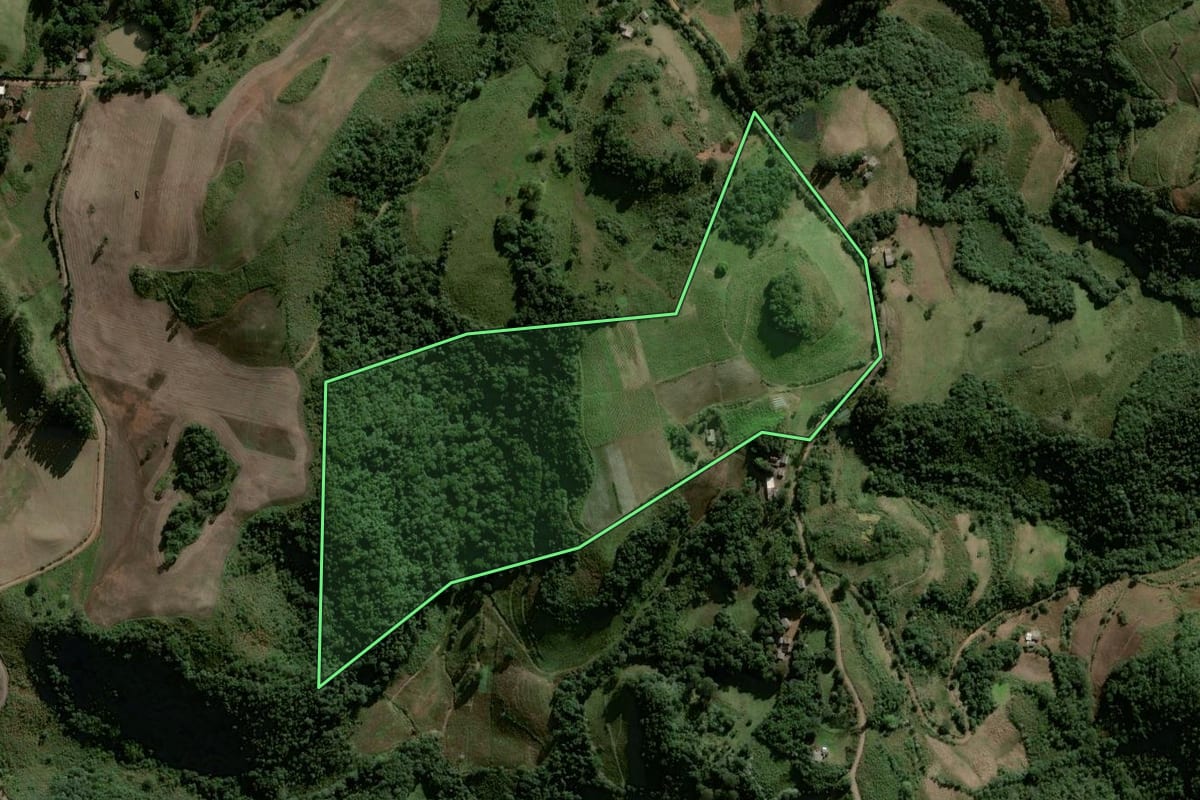 Imagem de satélite do imóvel rural em Lagoão (RS), com o contorno declarado no CAR desenhado por cima.