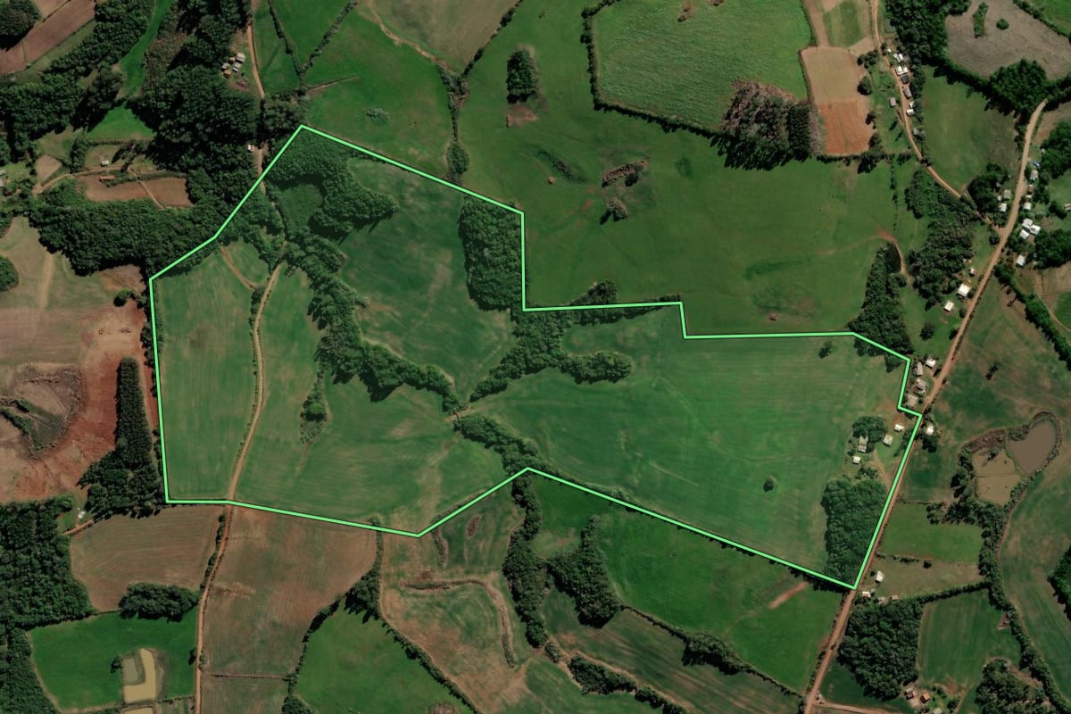 Imagem de satélite do imóvel rural em Lagoão (RS), com o contorno declarado no CAR desenhado por cima.
