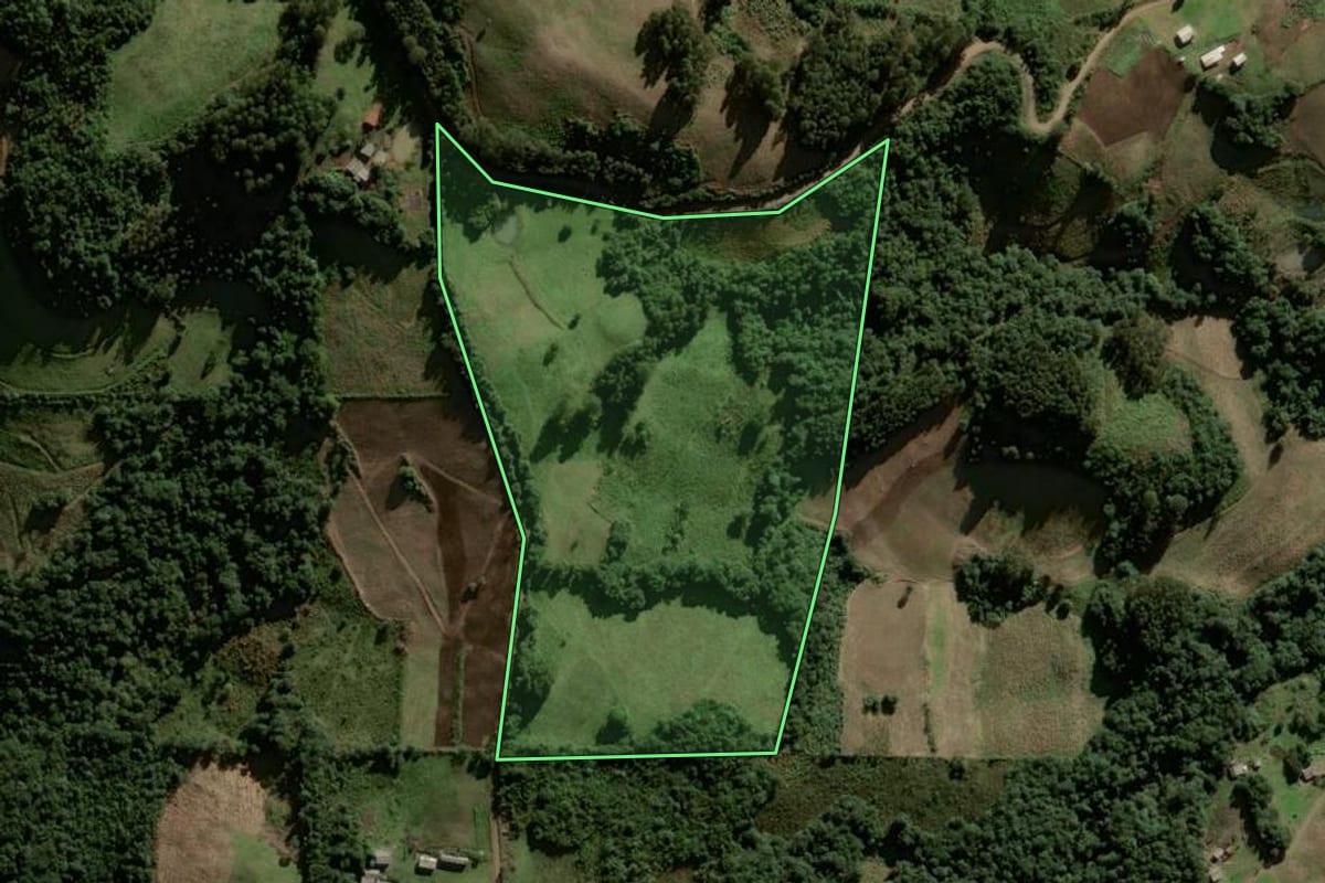 Imagem de satélite do imóvel rural em Lagoão (RS), com o contorno declarado no CAR desenhado por cima.