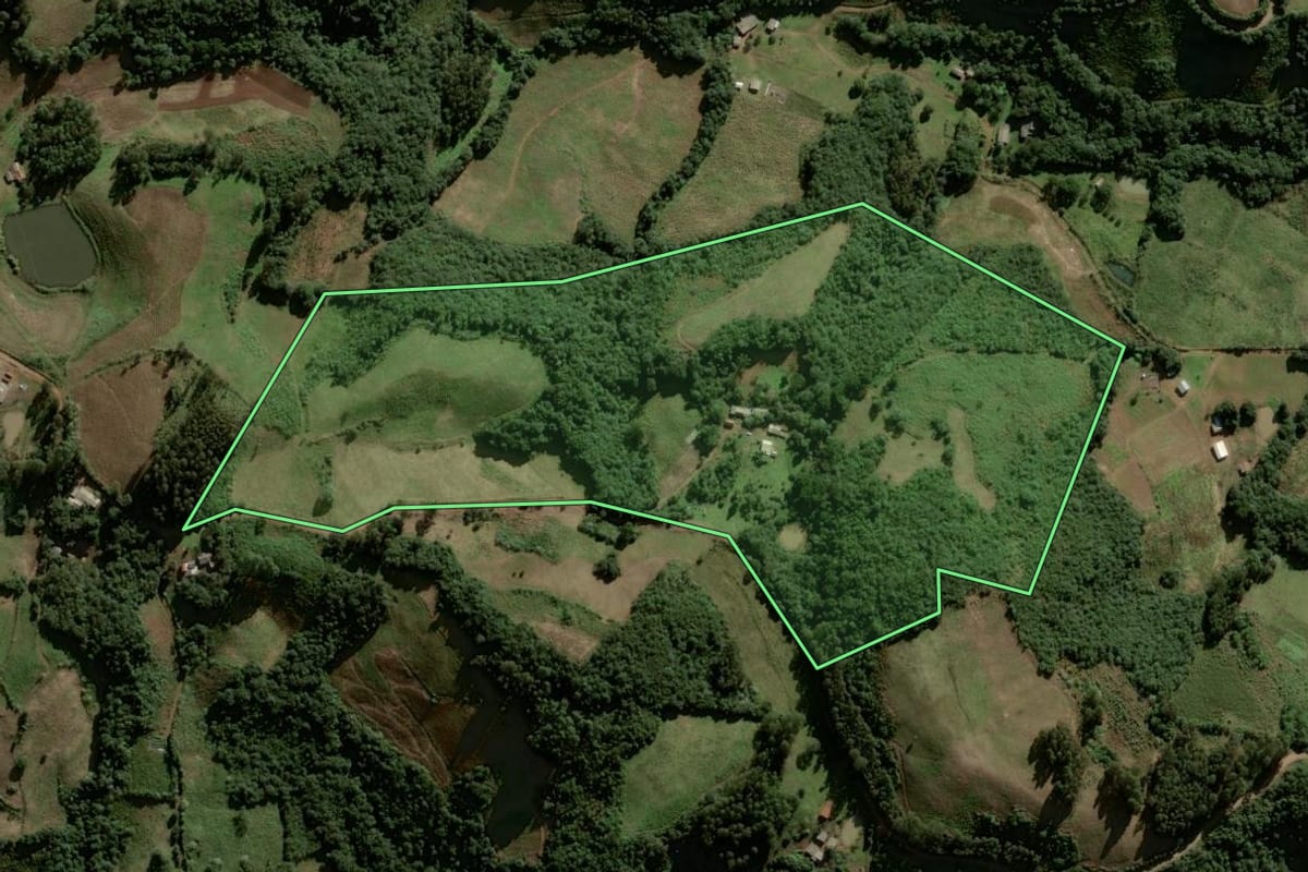 Imagem de satélite do imóvel rural em Lagoão (RS), com o contorno declarado no CAR desenhado por cima.
