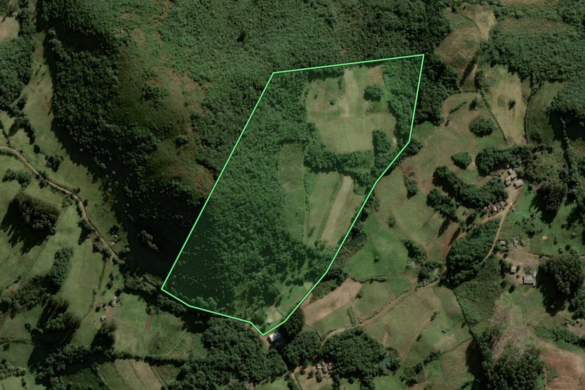 Imagem de satélite do imóvel rural em Lagoão (RS), com o contorno declarado no CAR desenhado por cima.