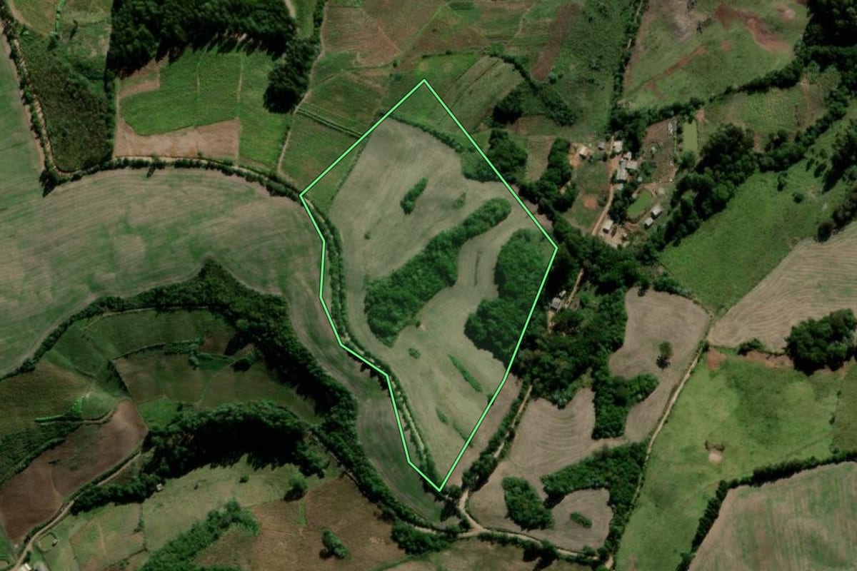 Imagem de satélite do imóvel rural em Lagoão (RS), com o contorno declarado no CAR desenhado por cima.
