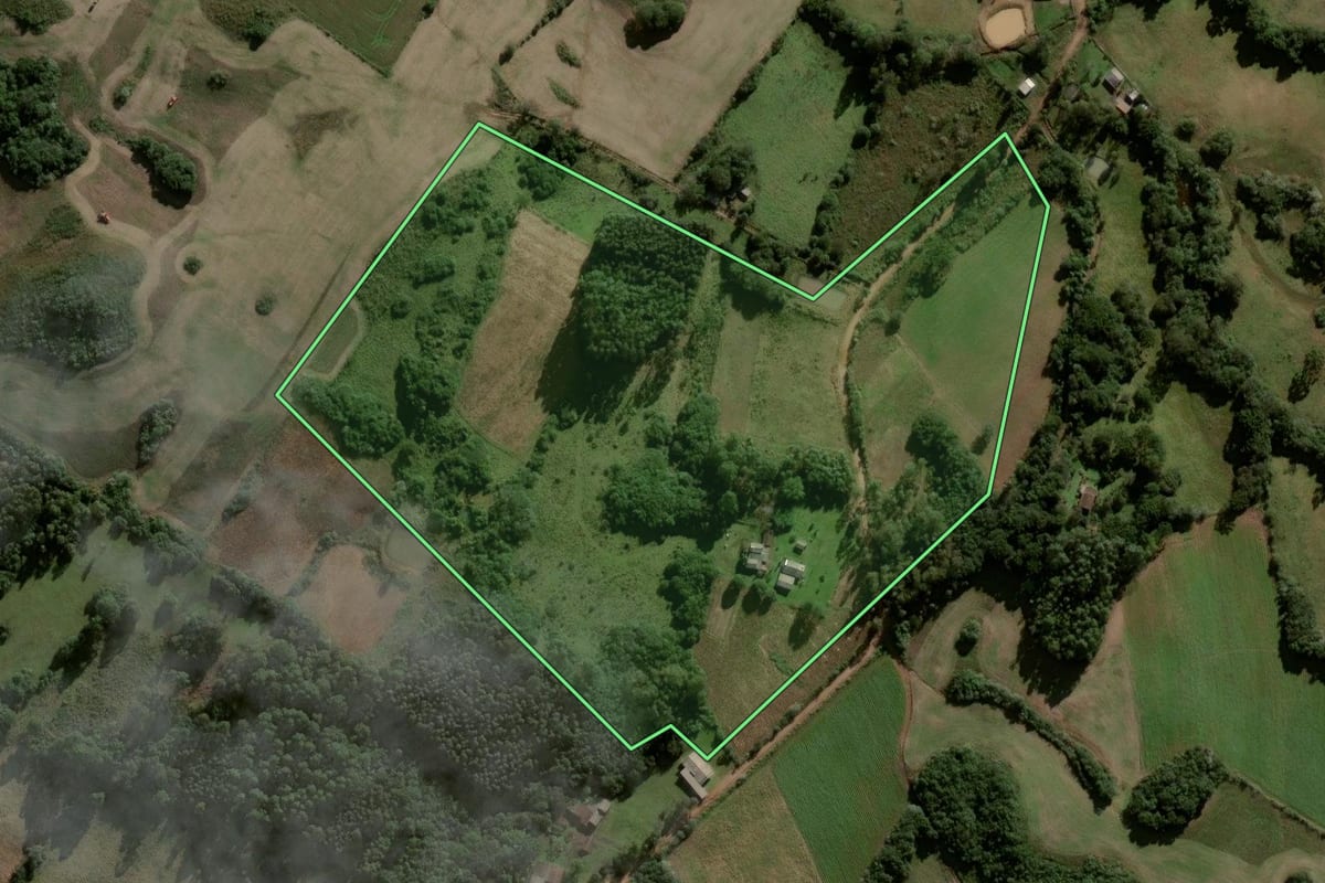 Imagem de satélite do imóvel rural em Lagoão (RS), com o contorno declarado no CAR desenhado por cima.