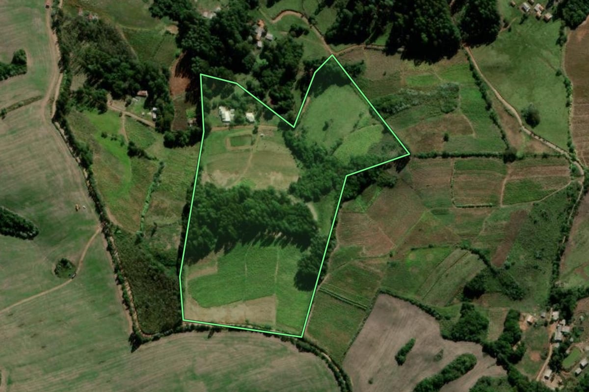 Imagem de satélite do imóvel rural em Lagoão (RS), com o contorno declarado no CAR desenhado por cima.