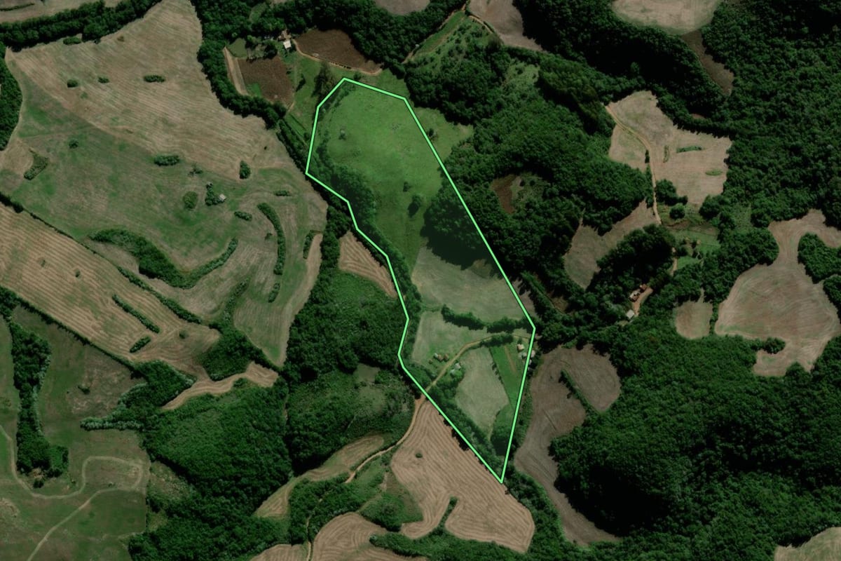 Imagem de satélite do imóvel rural em Lagoão (RS), com o contorno declarado no CAR desenhado por cima.