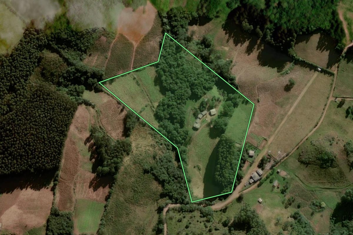 Imagem de satélite do imóvel rural em Lagoão (RS), com o contorno declarado no CAR desenhado por cima.