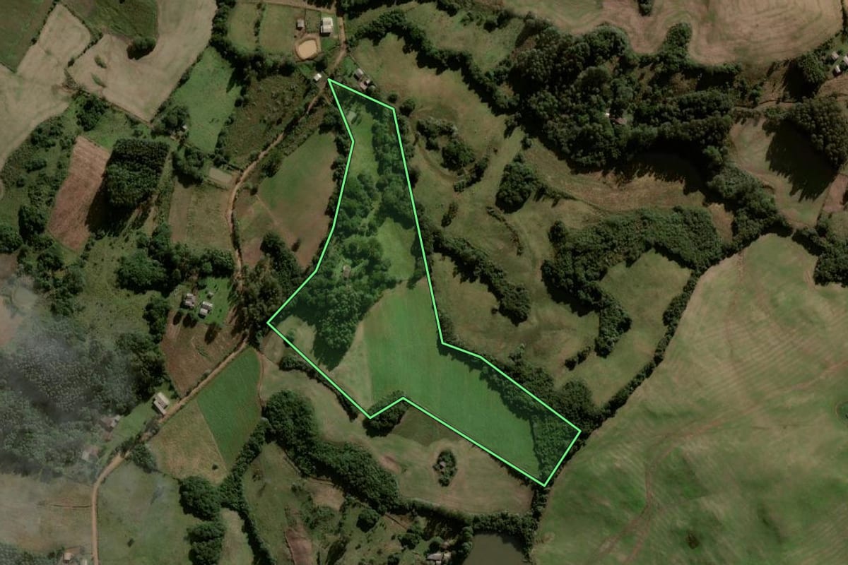 Imagem de satélite do imóvel rural em Lagoão (RS), com o contorno declarado no CAR desenhado por cima.