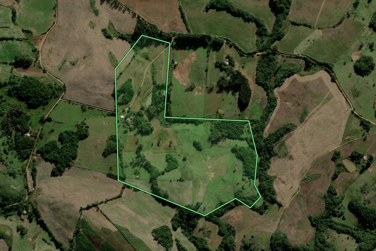 Imagem de satélite do imóvel rural em Lagoão (RS), com o contorno declarado no CAR desenhado por cima.
