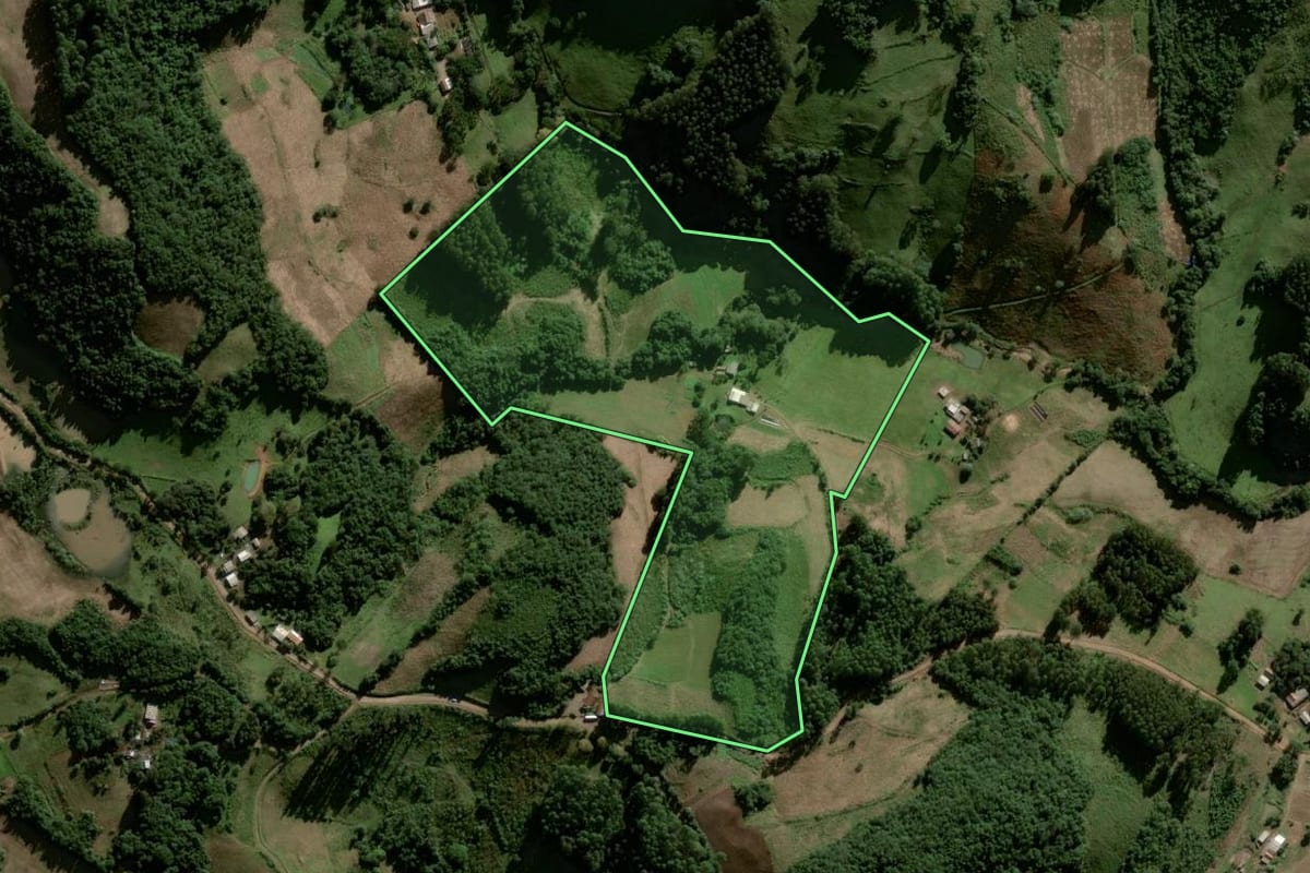 Imagem de satélite do imóvel rural em Lagoão (RS), com o contorno declarado no CAR desenhado por cima.