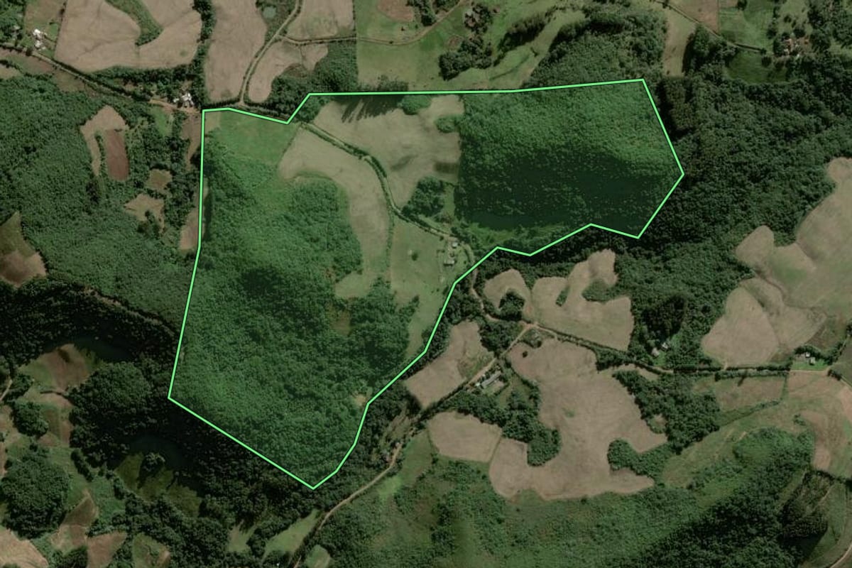 Imagem de satélite do imóvel rural em Lagoão (RS), com o contorno declarado no CAR desenhado por cima.