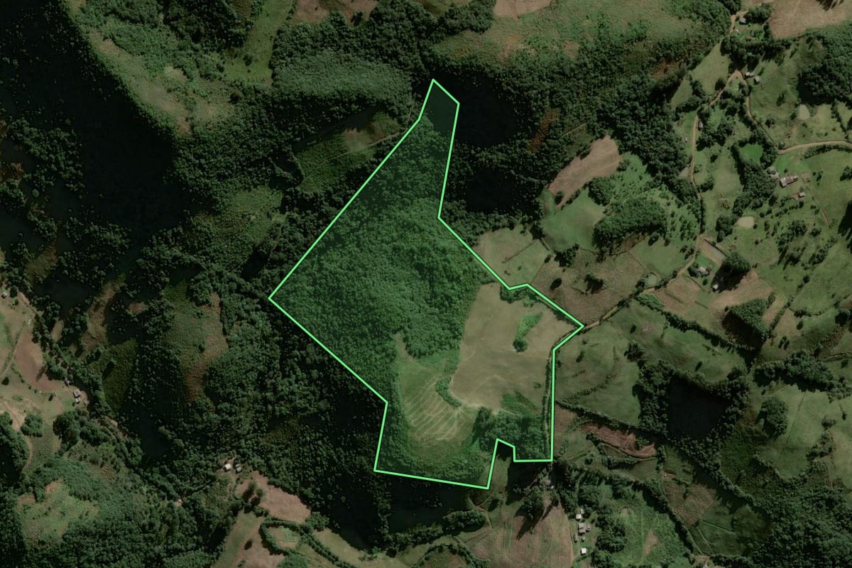 Imagem de satélite do imóvel rural em Lagoão (RS), com o contorno declarado no CAR desenhado por cima.