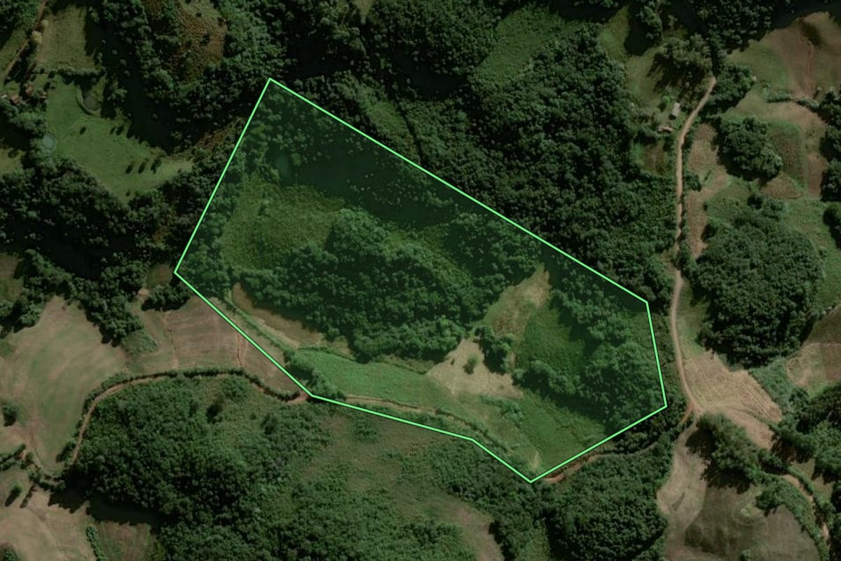 Imagem de satélite do imóvel rural em Lagoão (RS), com o contorno declarado no CAR desenhado por cima.