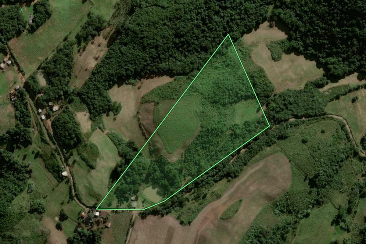 Imagem de satélite do imóvel rural em Lagoão (RS), com o contorno declarado no CAR desenhado por cima.