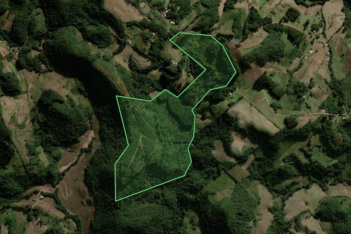 Imagem de satélite do imóvel rural em Lagoão (RS), com o contorno declarado no CAR desenhado por cima.