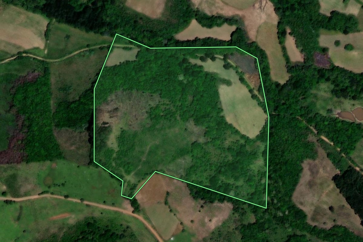 Imagem de satélite do imóvel rural em Lagoão (RS), com o contorno declarado no CAR desenhado por cima.