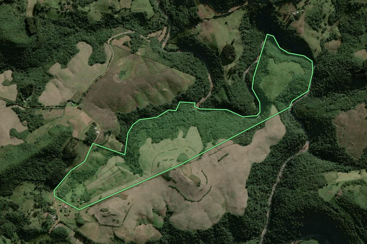 Imagem de satélite do imóvel rural em Lagoão (RS), com o contorno declarado no CAR desenhado por cima.