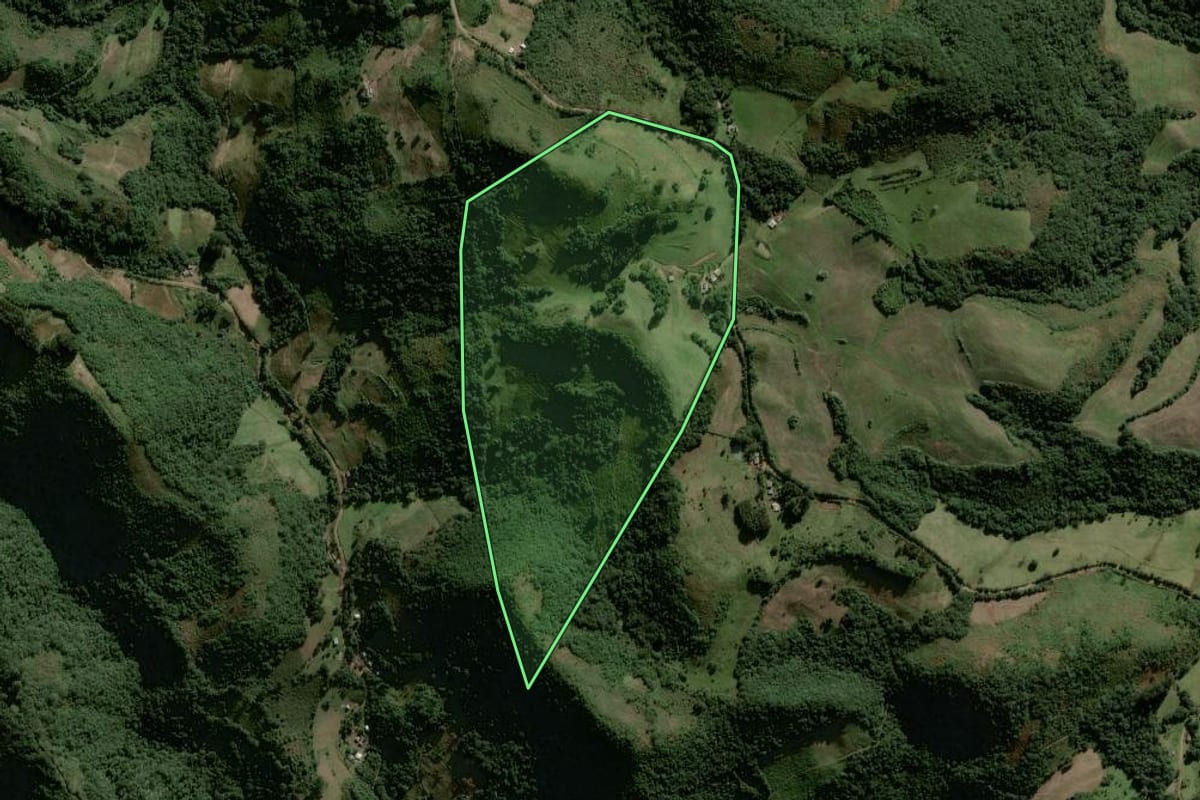 Imagem de satélite do imóvel rural em Lagoão (RS), com o contorno declarado no CAR desenhado por cima.