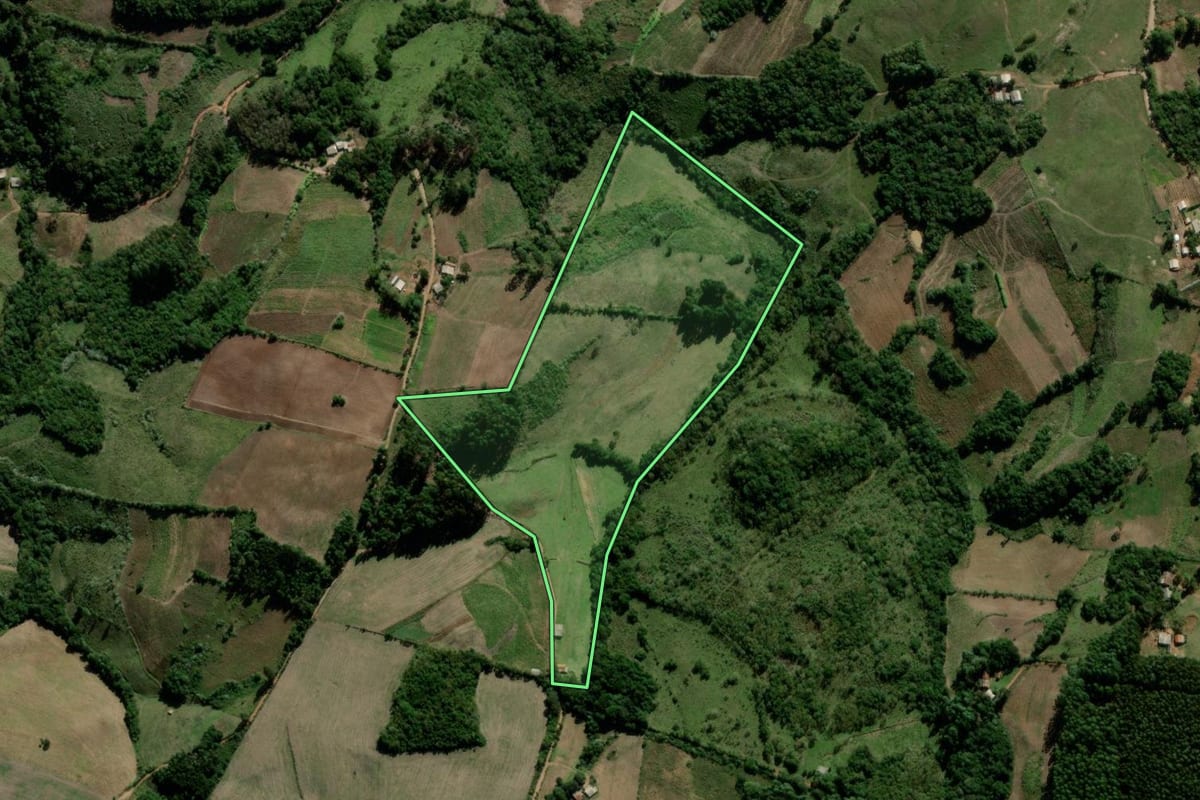 Imagem de satélite do imóvel rural em Lagoão (RS), com o contorno declarado no CAR desenhado por cima.
