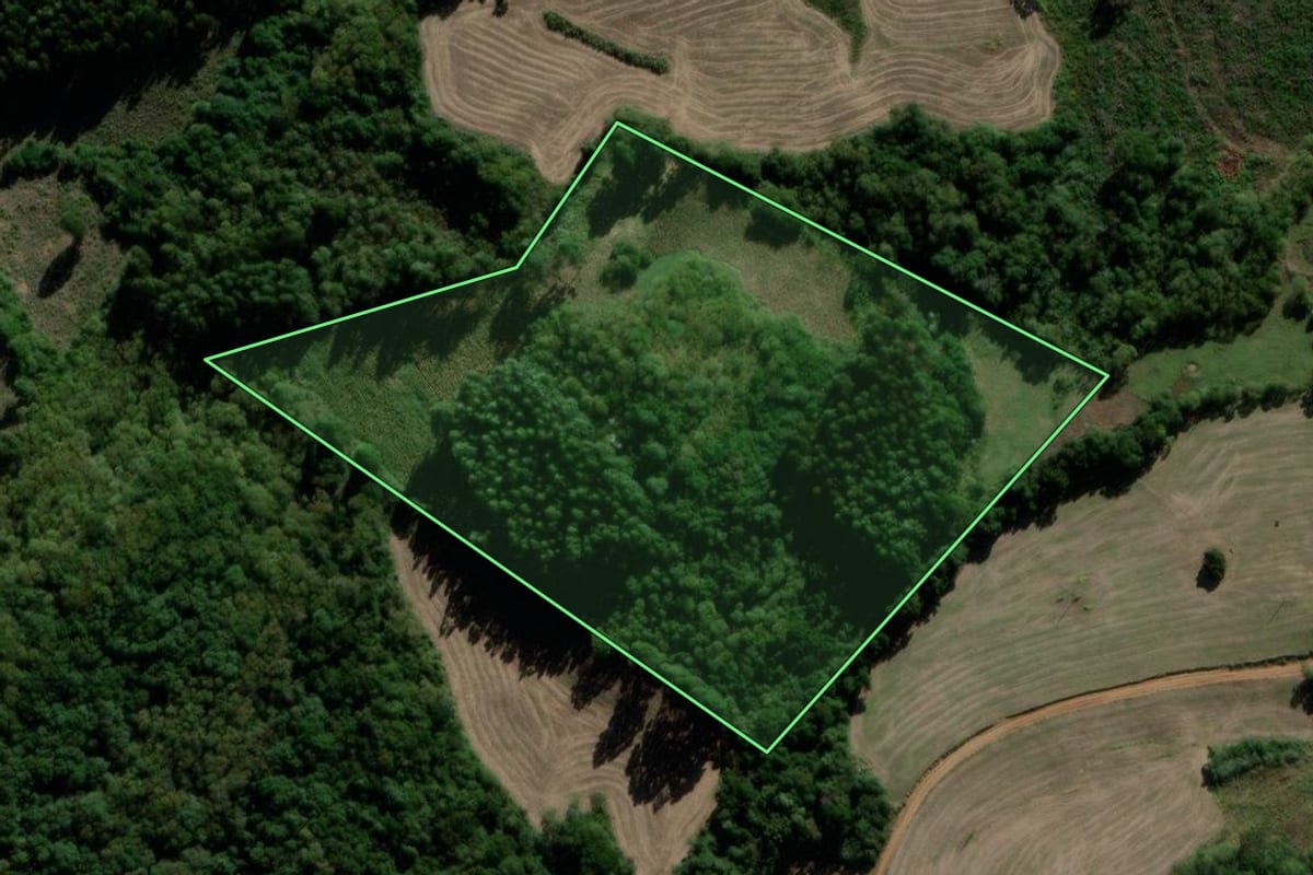 Imagem de satélite do imóvel rural em Lagoão (RS), com o contorno declarado no CAR desenhado por cima.