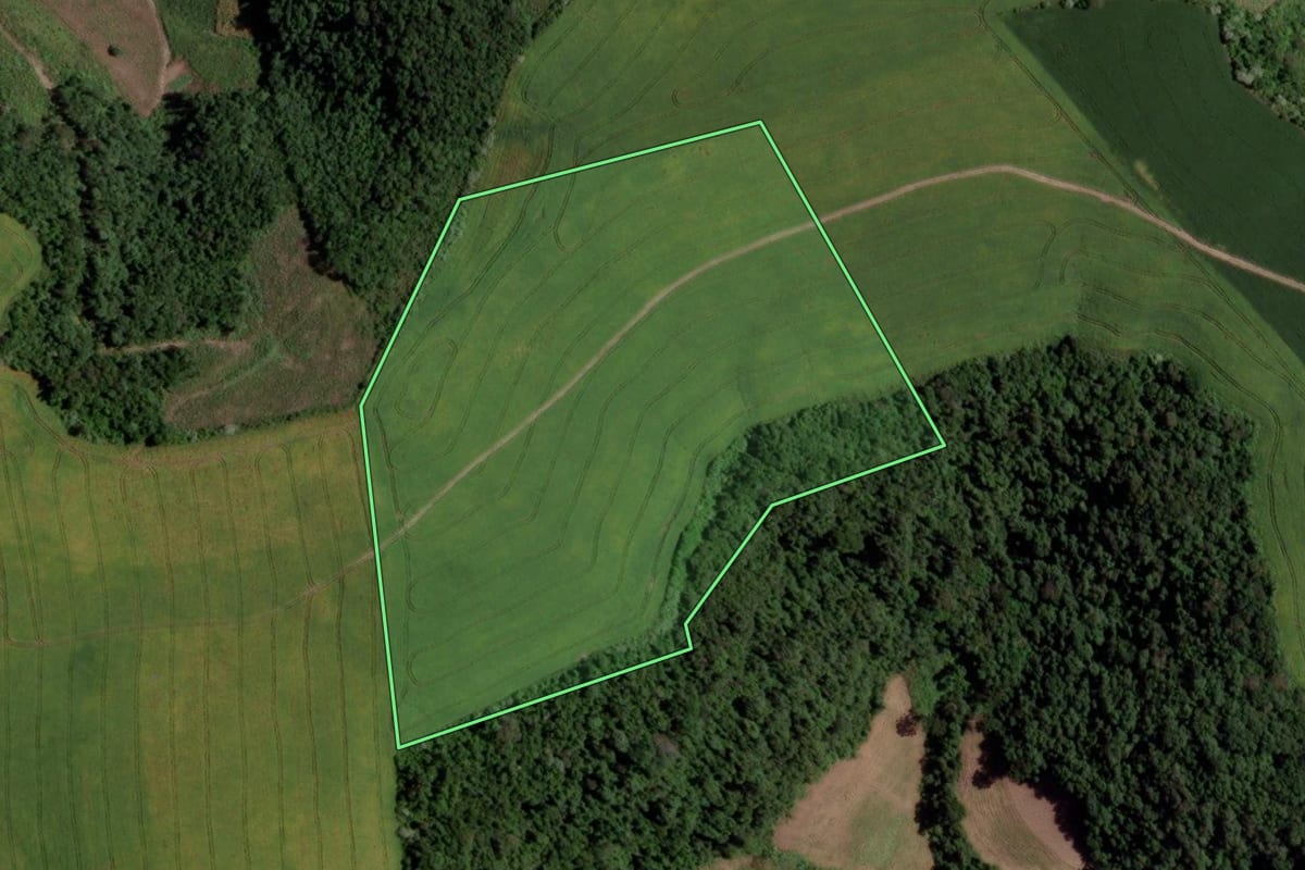 Imagem de satélite do imóvel rural em Lagoão (RS), com o contorno declarado no CAR desenhado por cima.