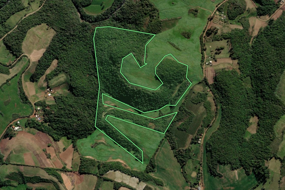 Imagem de satélite do imóvel rural em Lagoão (RS), com o contorno declarado no CAR desenhado por cima.