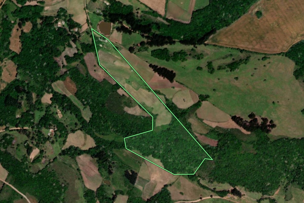 Imagem de satélite do imóvel rural em Lagoão (RS), com o contorno declarado no CAR desenhado por cima.