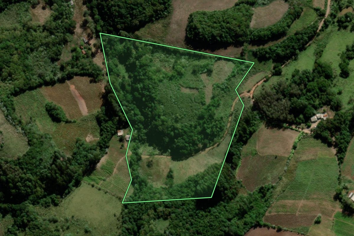 Imagem de satélite do imóvel rural em Lagoão (RS), com o contorno declarado no CAR desenhado por cima.