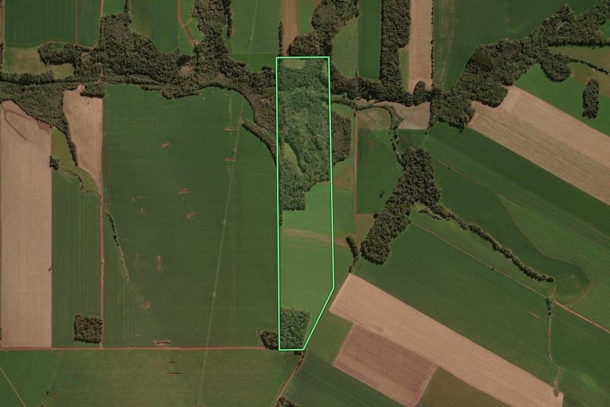 Imagem de satélite do imóvel rural em Lagoa dos Três Cantos (RS), com o contorno declarado no CAR desenhado por cima.
