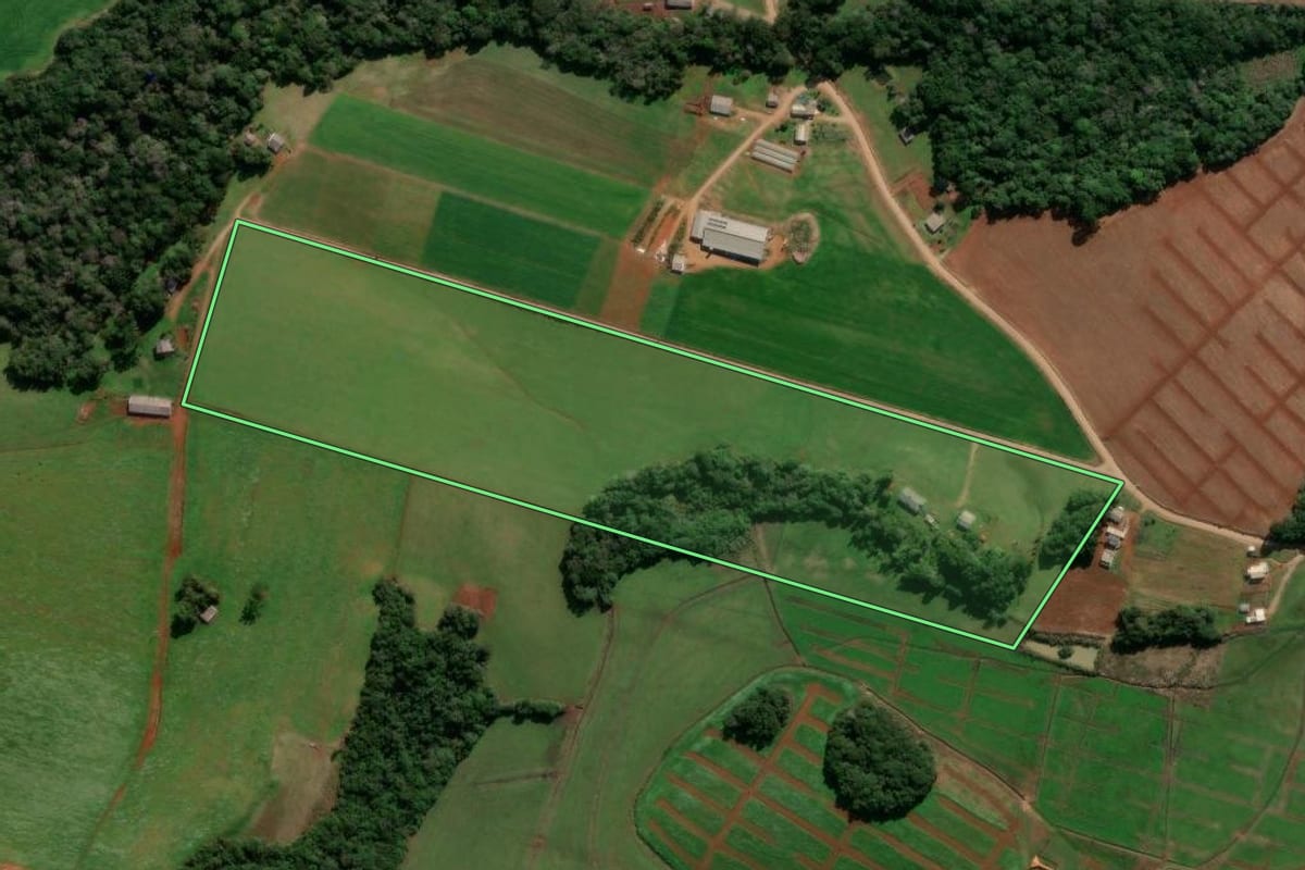 Imagem de satélite do imóvel rural em Lagoa Vermelha (RS), com o contorno declarado no CAR desenhado por cima.