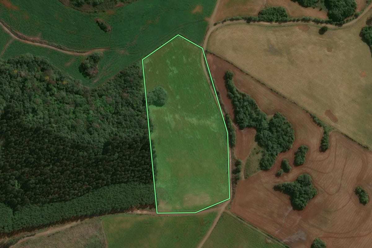 Imagem de satélite do imóvel rural em Lagoa Vermelha (RS), com o contorno declarado no CAR desenhado por cima.