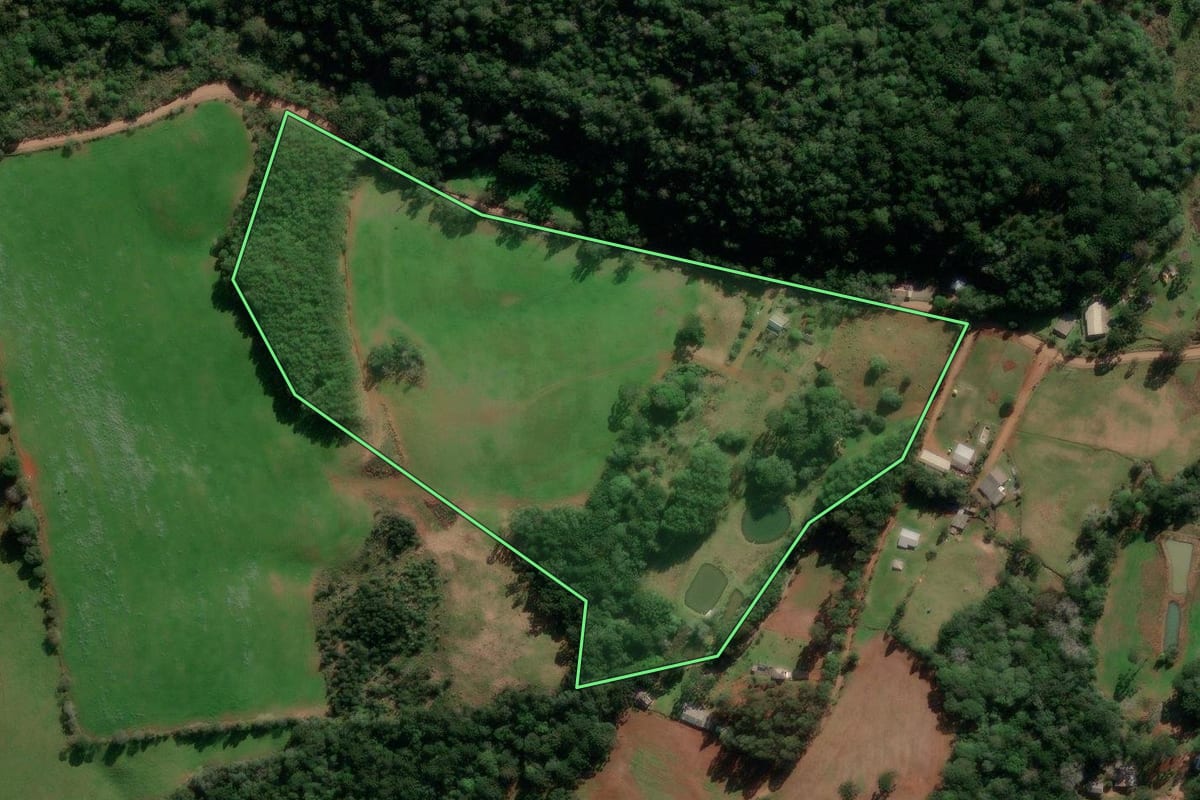 Imagem de satélite do imóvel rural em Lagoa Vermelha (RS), com o contorno declarado no CAR desenhado por cima.