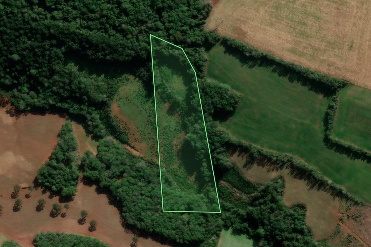 Imagem de satélite do imóvel rural em Lagoa Vermelha (RS), com o contorno declarado no CAR desenhado por cima.