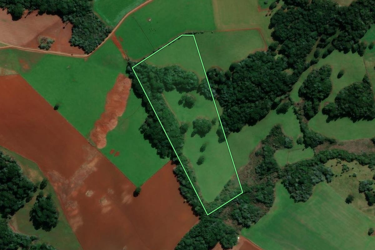 Imagem de satélite do imóvel rural em Lagoa Vermelha (RS), com o contorno declarado no CAR desenhado por cima.