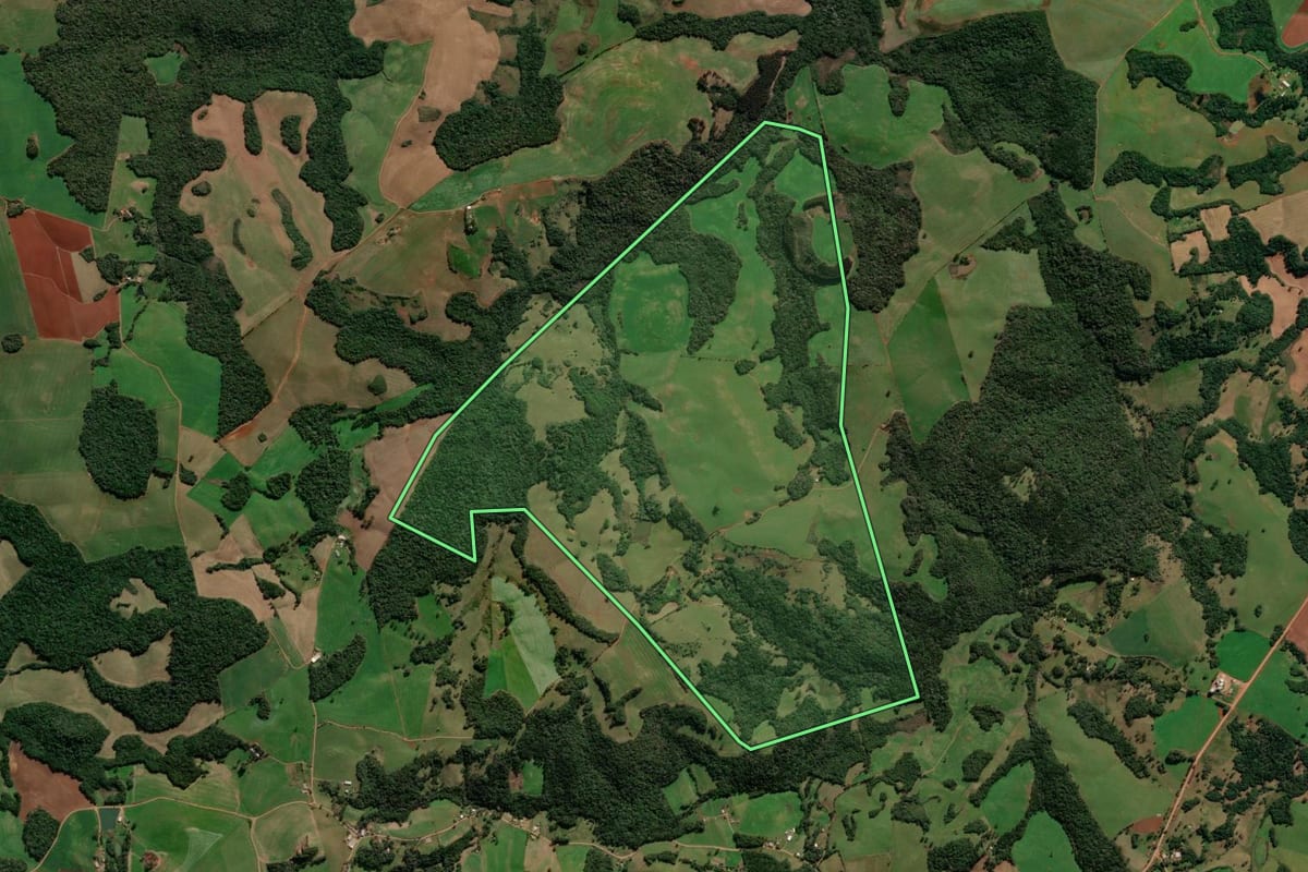 Imagem de satélite do imóvel rural em Lagoa Vermelha (RS), com o contorno declarado no CAR desenhado por cima.